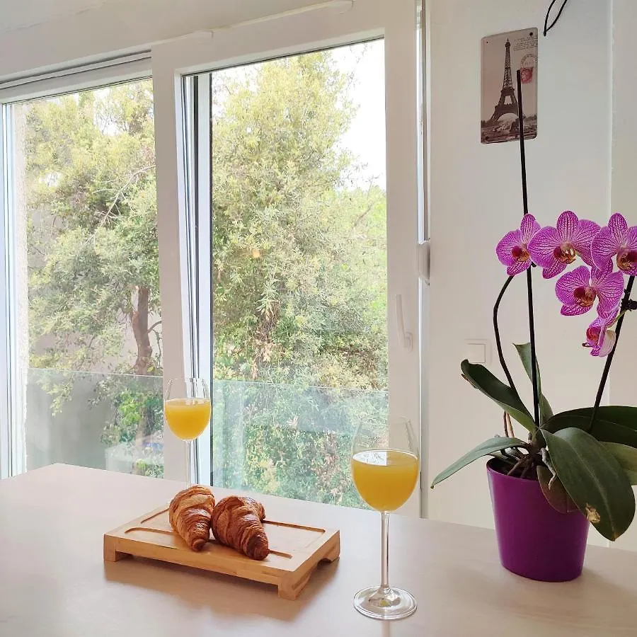 Studio Apartments Kali